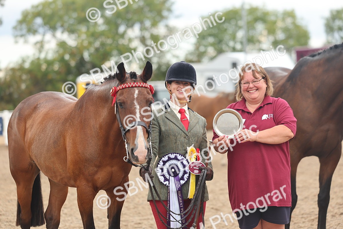 SBM_07832 - Class 27 - IH Competition Horse/Pony