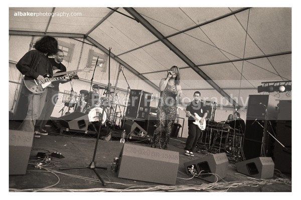 851 - Hulme Gallery (d)