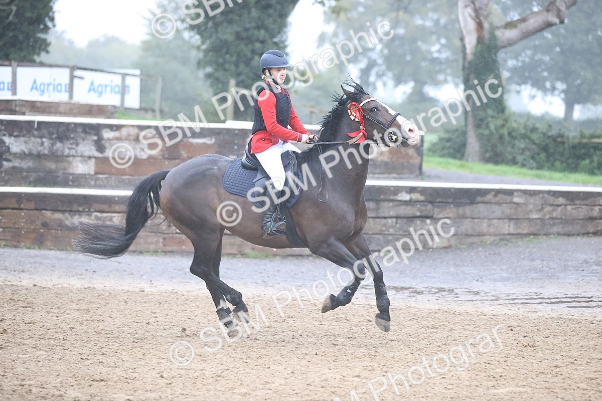 SBM_73654 - J19 - Junior Horse & Pony 90cm Supreme championship