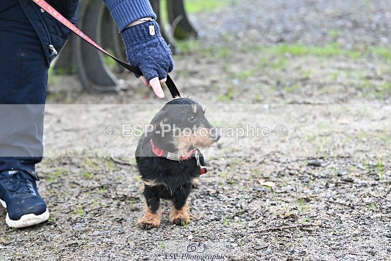 241206-144358-01146 - Naomi