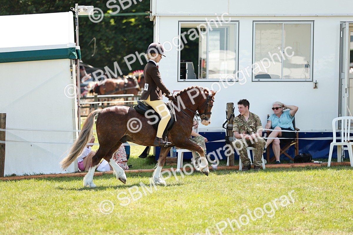 SBM_15772 - Class 108-109 - BSPS LIHS Open Gradle & Nursery Stakes