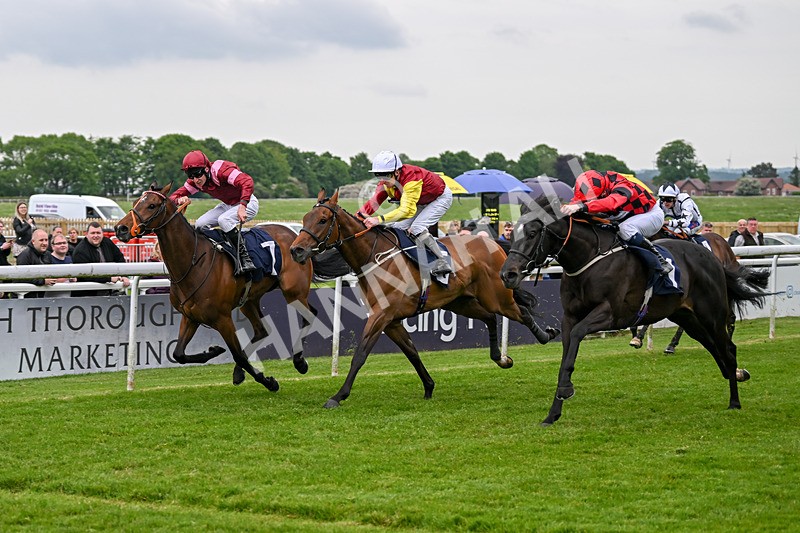 140524-Race 6-Flickering Halo-2736 - Race 6