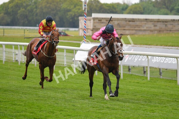 yr14052021r4-17 - Race 4 3.10pm The Matchbook Yorkshire Cup