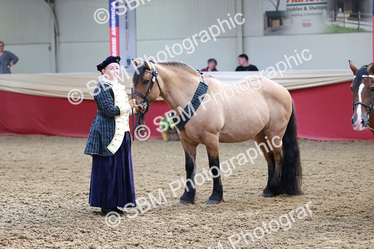 SBM_12100 - Class 103 - IH Costume