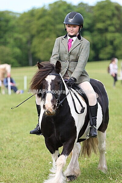 IMG_2375 - Working Hunter