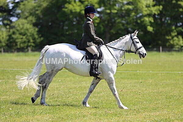 IMG_3571 - Working Hunter