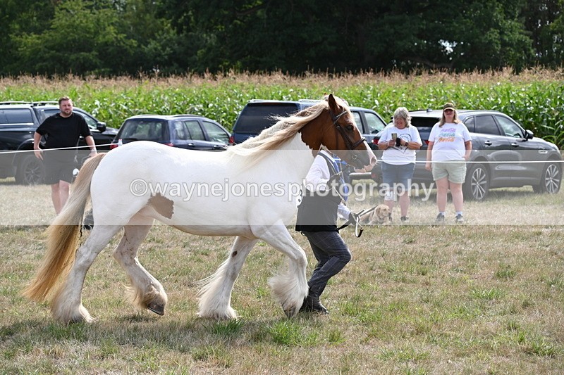 WJ6_6580 - Class 20 In-hand Cob