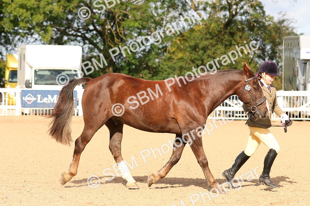 SBM_09278 - Class 204 - Young Handler