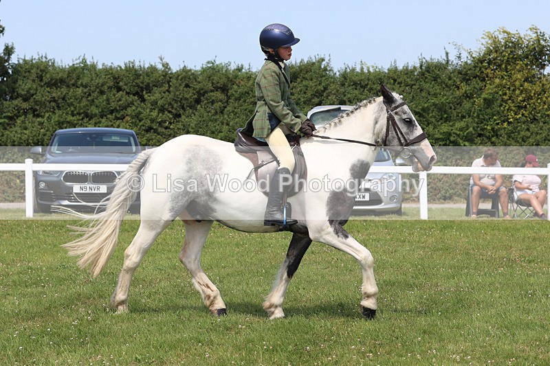 JPP_3221 - Class 22: Working Hunter 70cm