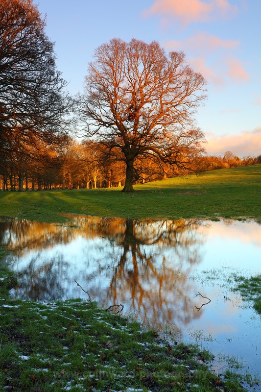 Winter Reflections - County Durham