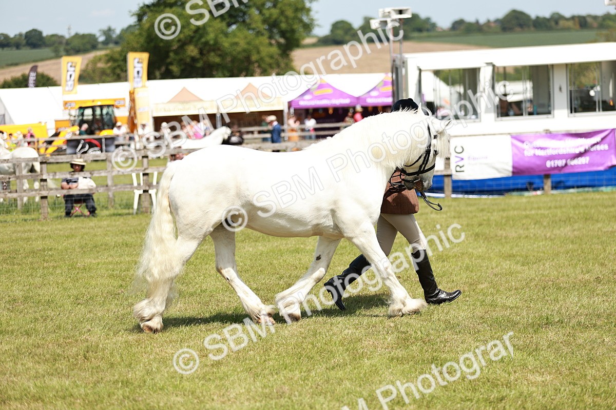 SBM_07149 - Class 26-30 - Mountain and Moorland Ridden