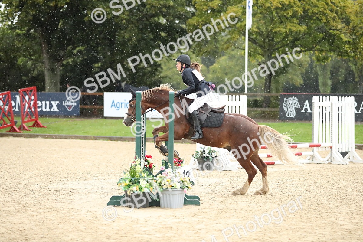 SBM_34454 - J60 Clear Round 50cm