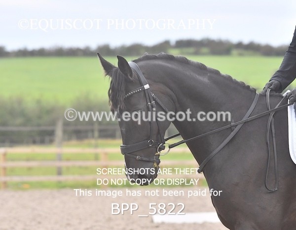 BPP_5822 - PRELIM TEST 5 LONG ARENA