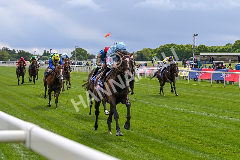 130526-Race 2-Klassleader-2453 - Race 2 2.20pm Sky Bet Race To The Ebor Jorvik Handicap