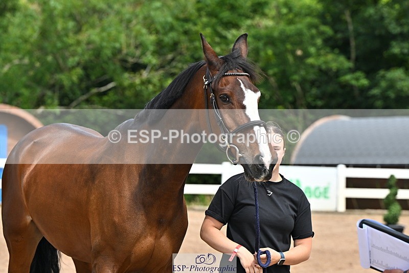 240718A-105257-01362 - Trot Up 12pm to 1pm