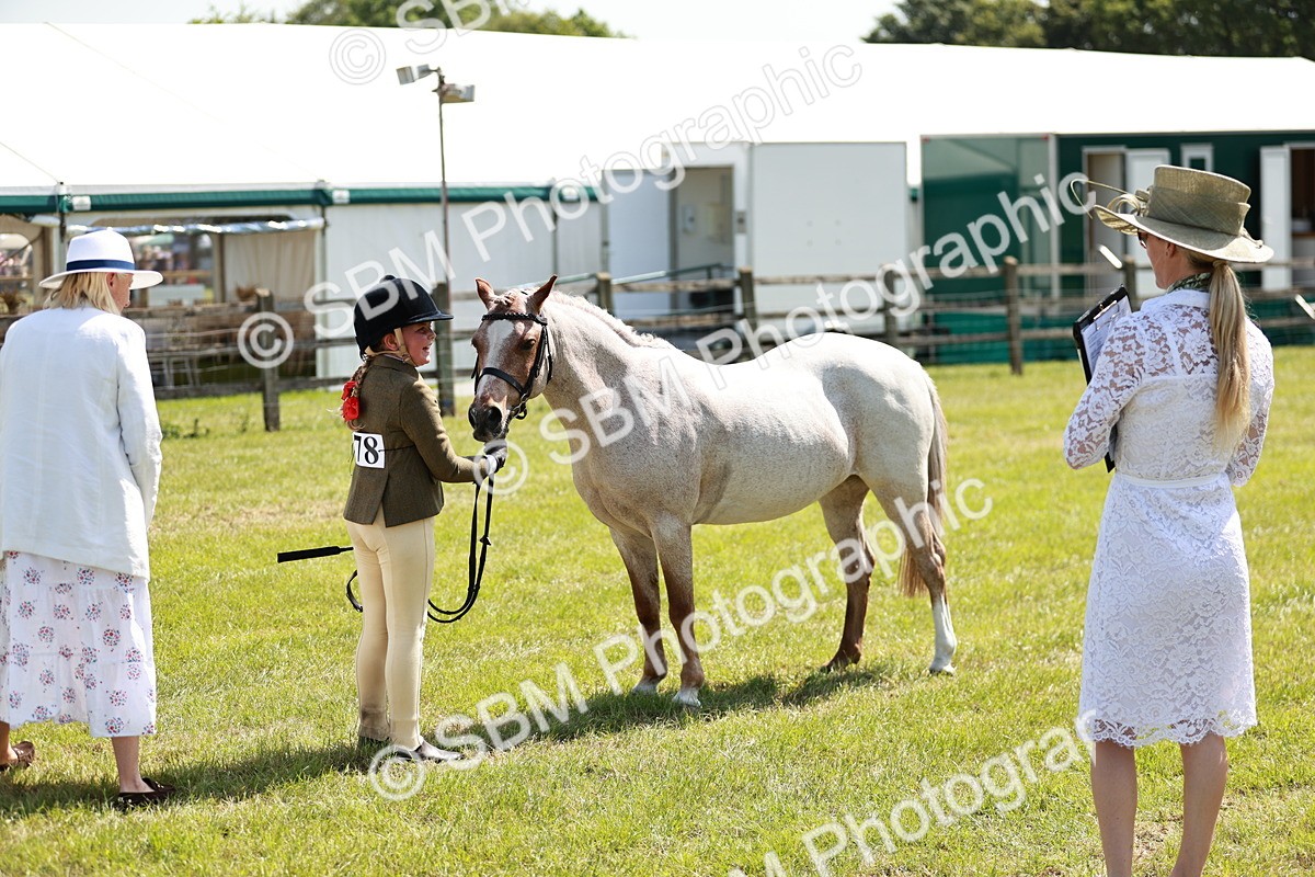 SBM_13637 - Class 108-109 - BSPS LIHS Open Gradle & Nursery Stakes
