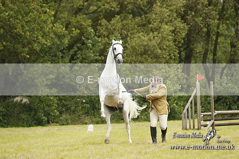 GRH 080712 296 - Barbury
