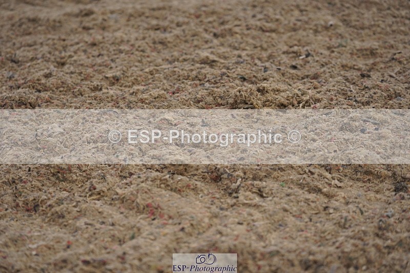 230708A-090538-00033 - Intro C