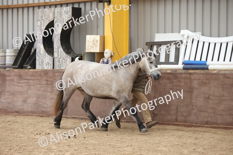 20251109-0881 - Class 26 - 2 and 4 Year Olds