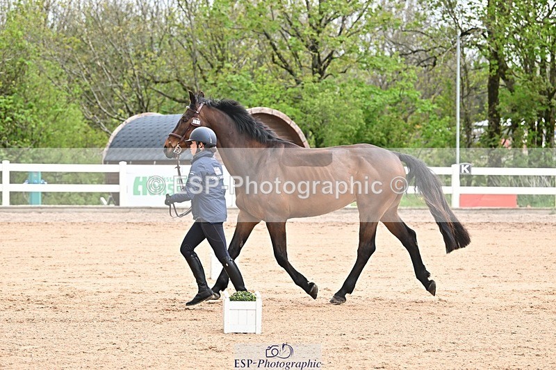 250423-120632-00195 - 12 to 1pm