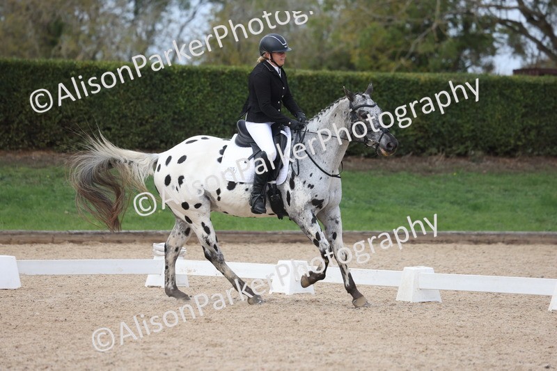 20261010-0696 - Class 6 - Novice 2
