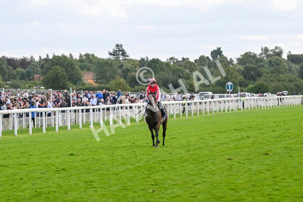 230824-Race 4-Bradsell-9525 - Race 4 3.35pm Coolmore Wootton Bassett Nunthorpe Stakes
