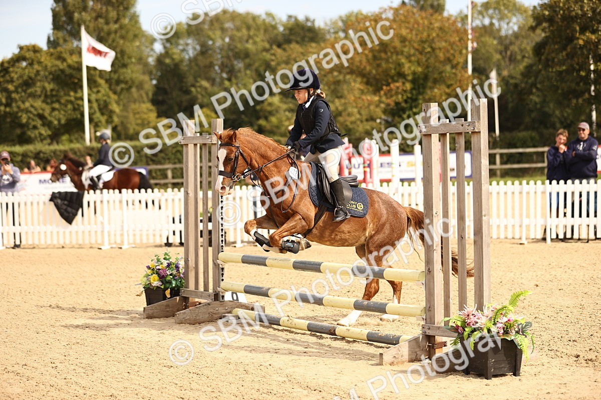 SBM_66847 - J13 - Junior Pony 60cm Championship