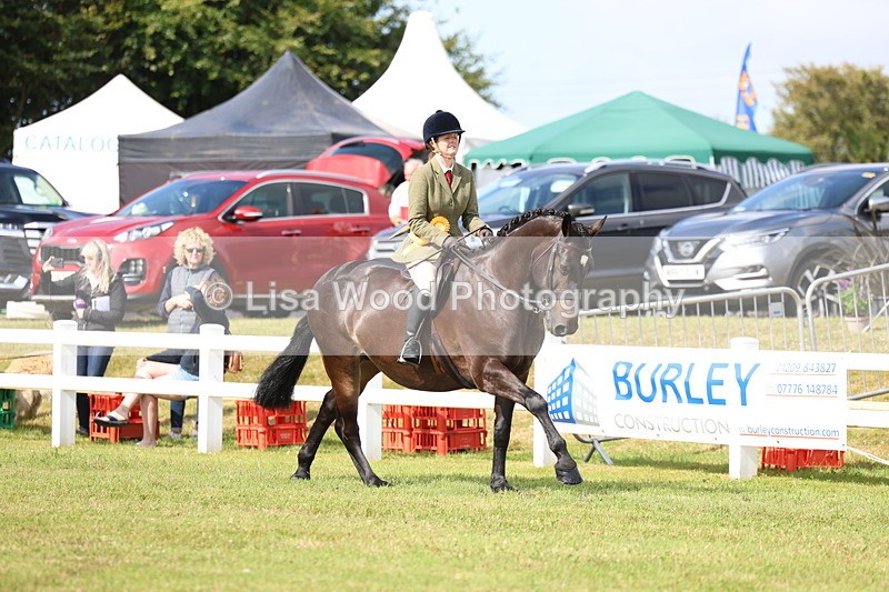 3E7A9214 - Class 3: Rising Star S/L Hunter