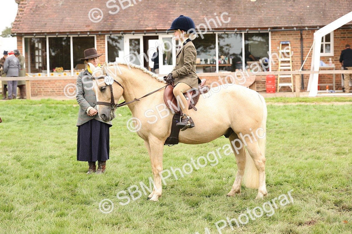 SBM_63035 - S64 - Foreign Breeds Ridden