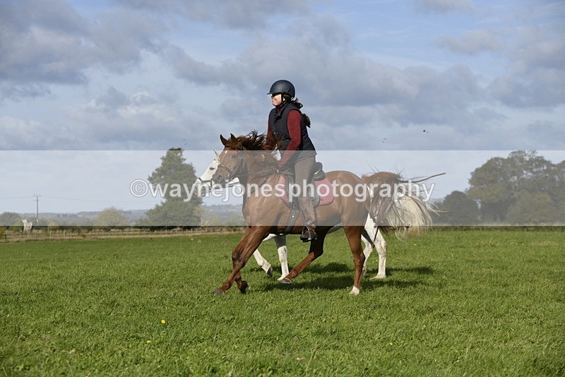 _DSC5642 - Time 10:49 to 11:23