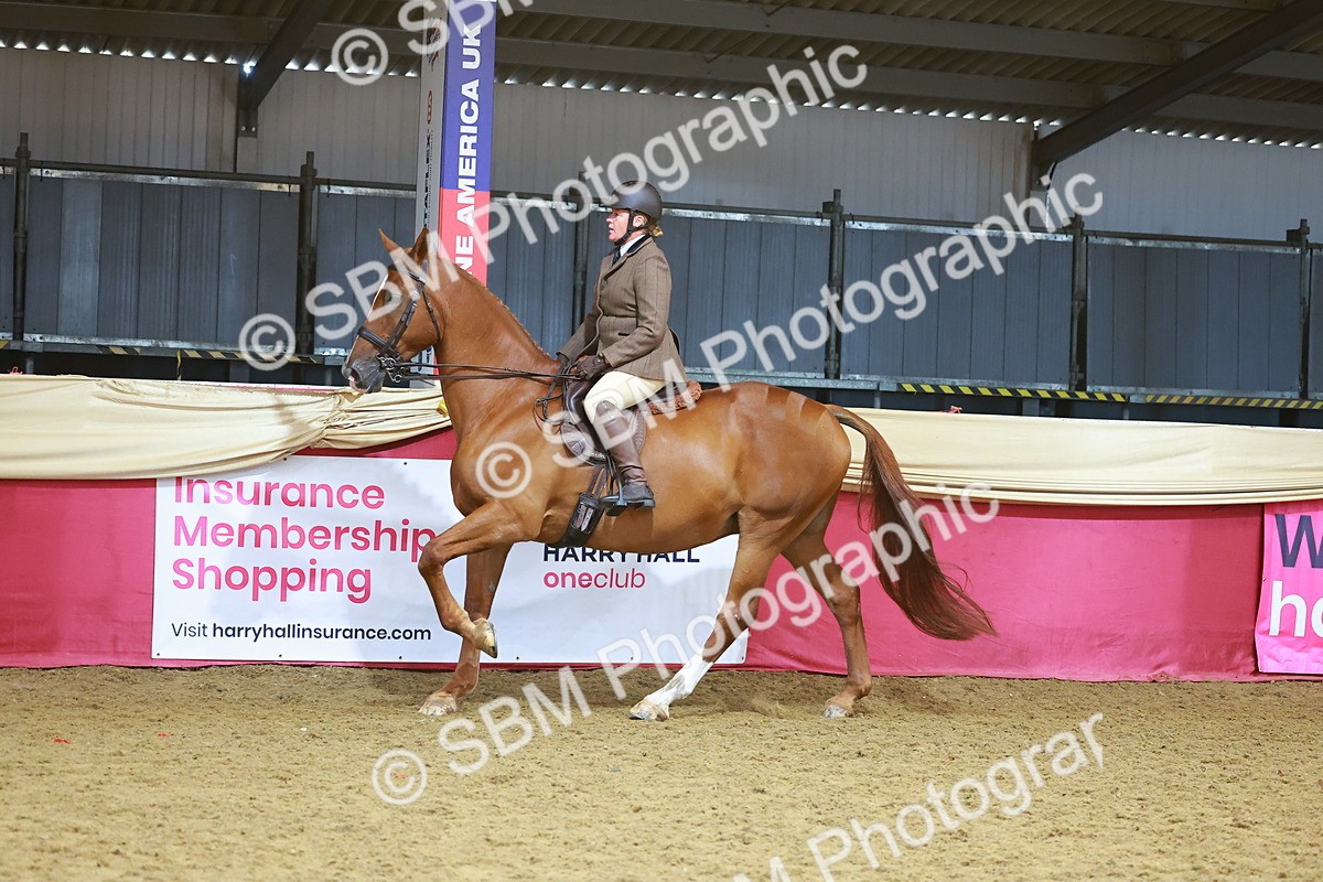 SBM_09435 - Class 102 - HOYS Veteran Qualifier - Ridden Veteran