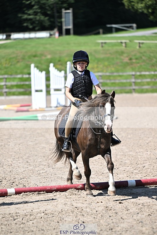 240729B-113510-02440 - Showjumping Competition