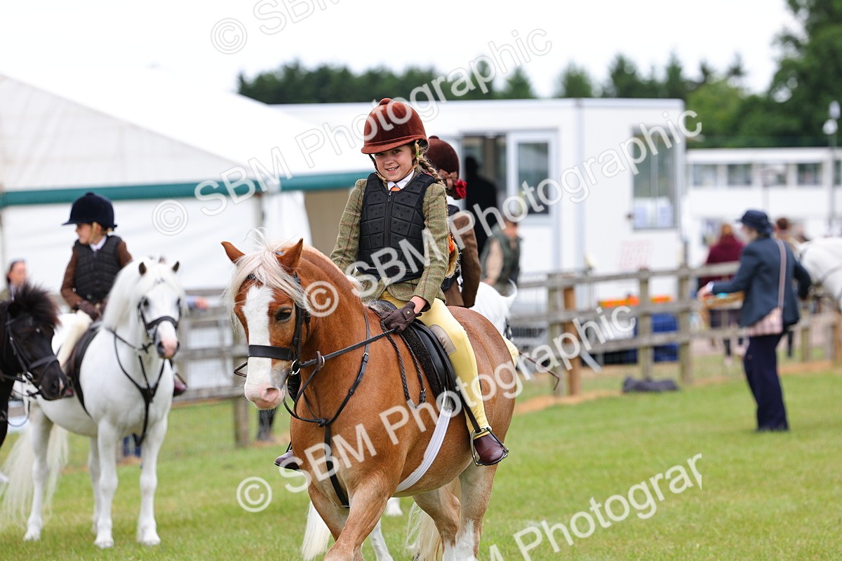 SBM_08733 - Class 42-43 - LIHS BSPS Heritage Working Sports Pony