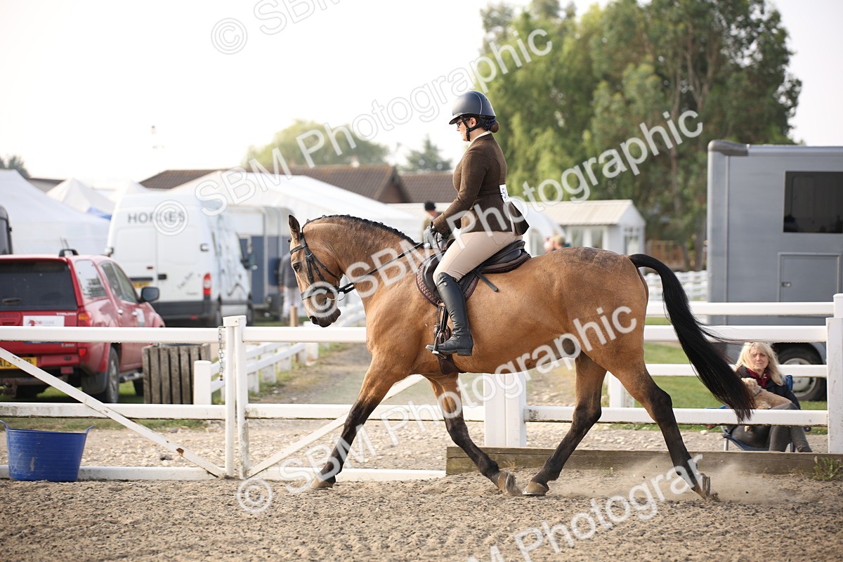 SBM_10248 - Class 402 Riding Club Horse