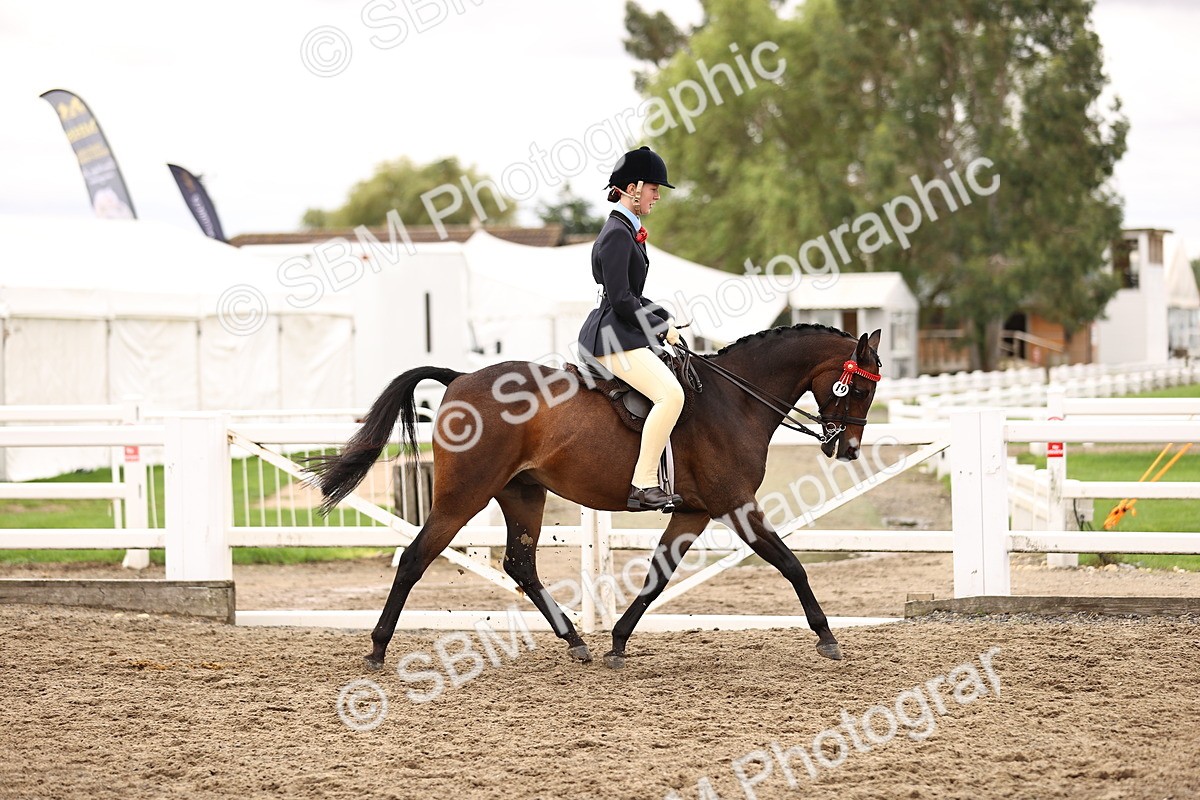SBM_01336 - Class 54 - Riding Club Horse Pony