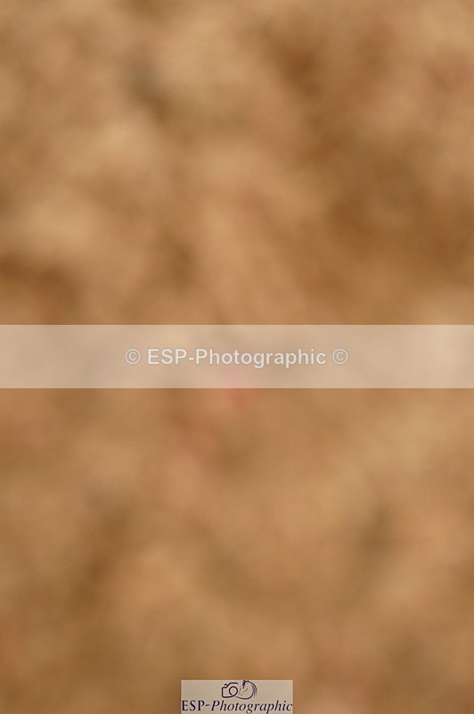 240526A-112644-07800 - Cls 26 Chard Equ 1.05m and 1.10m Grand Prix