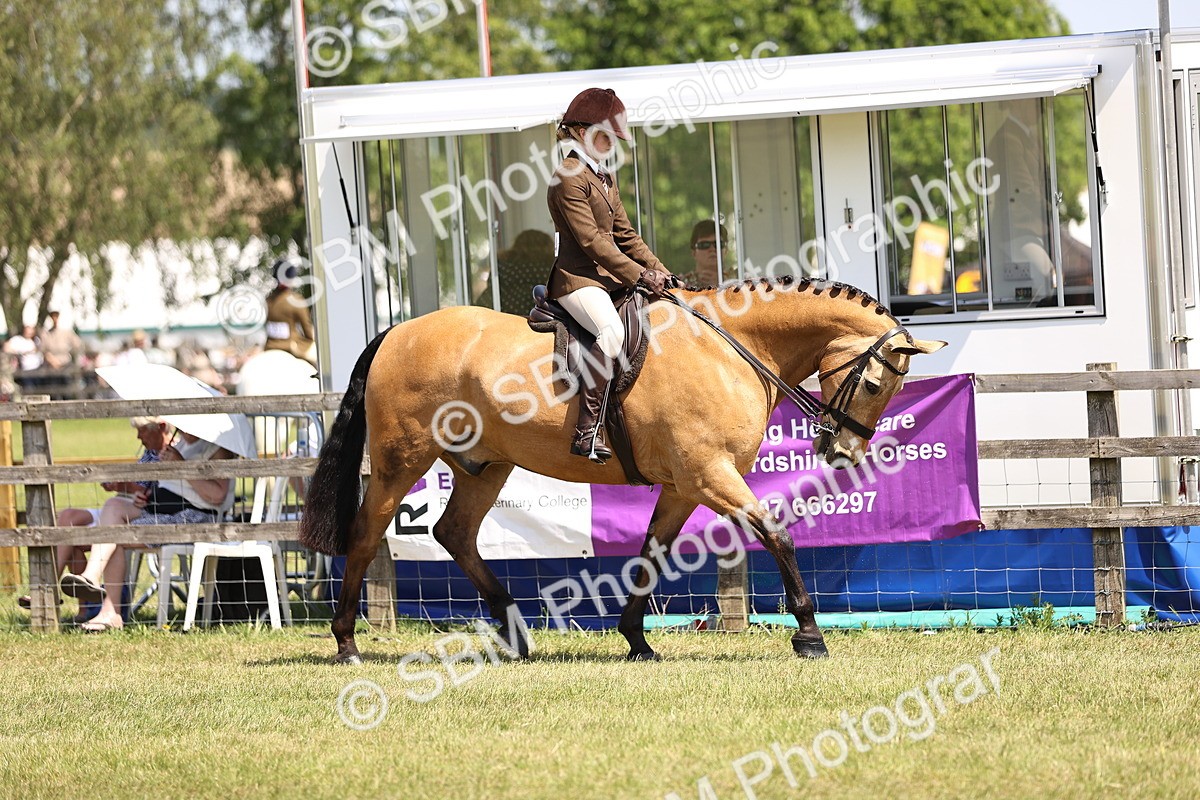 SBM_15034 - Class 79-80 - LIHS BSHA Rising Star Ridden Hunter