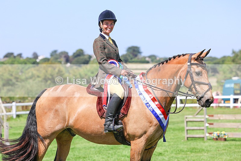 3E7A9297 - Working Hunter Championship