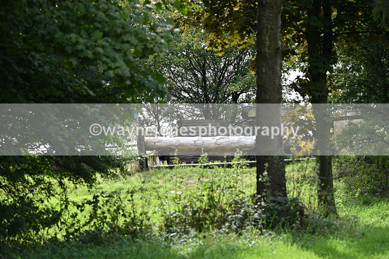 WJ7_7738 - Time 13:50 to 14:03