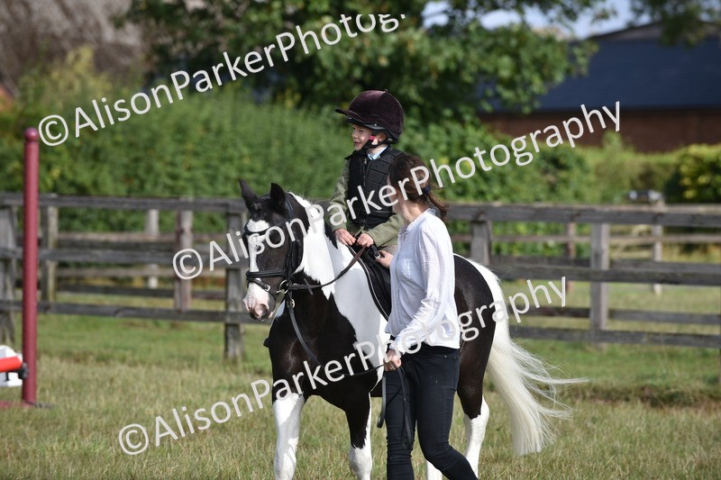 20250831-0266 - Class 6 - Minimus Jumping 30cm