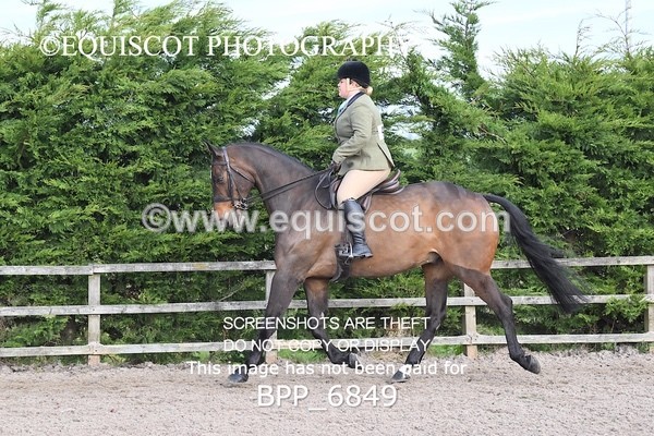 BPP_6849 - RING 1  (RIDDEN HORSES / IN HAND / VETERAN ETC)