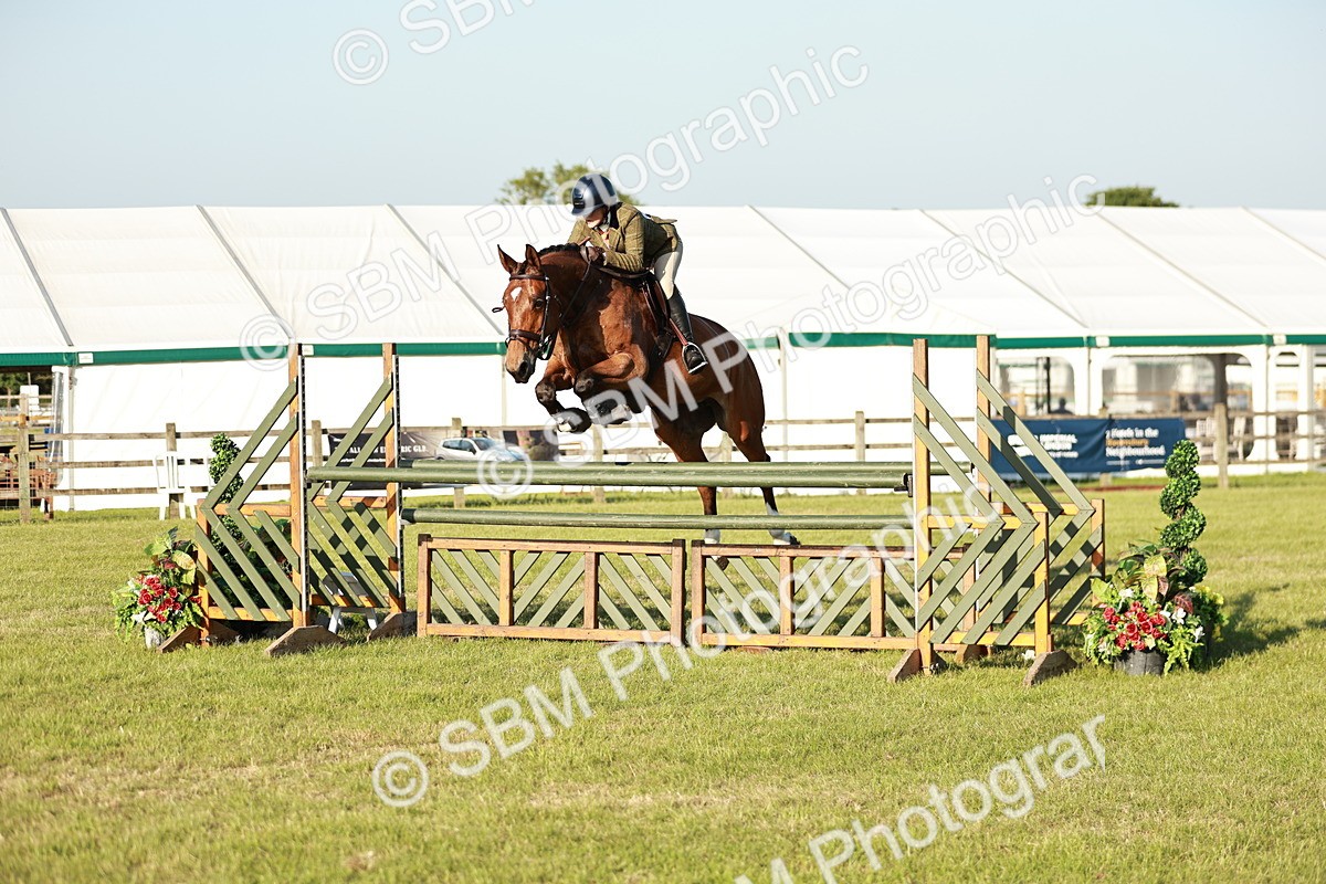 SBM_20379 - Class 117-119 - Sport Horse Working Hunter