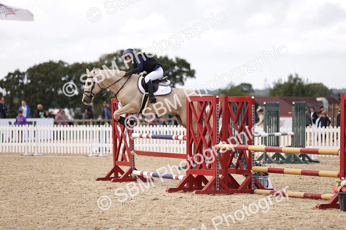 SBM_28446 - J46 - Accumulator 80 90cm