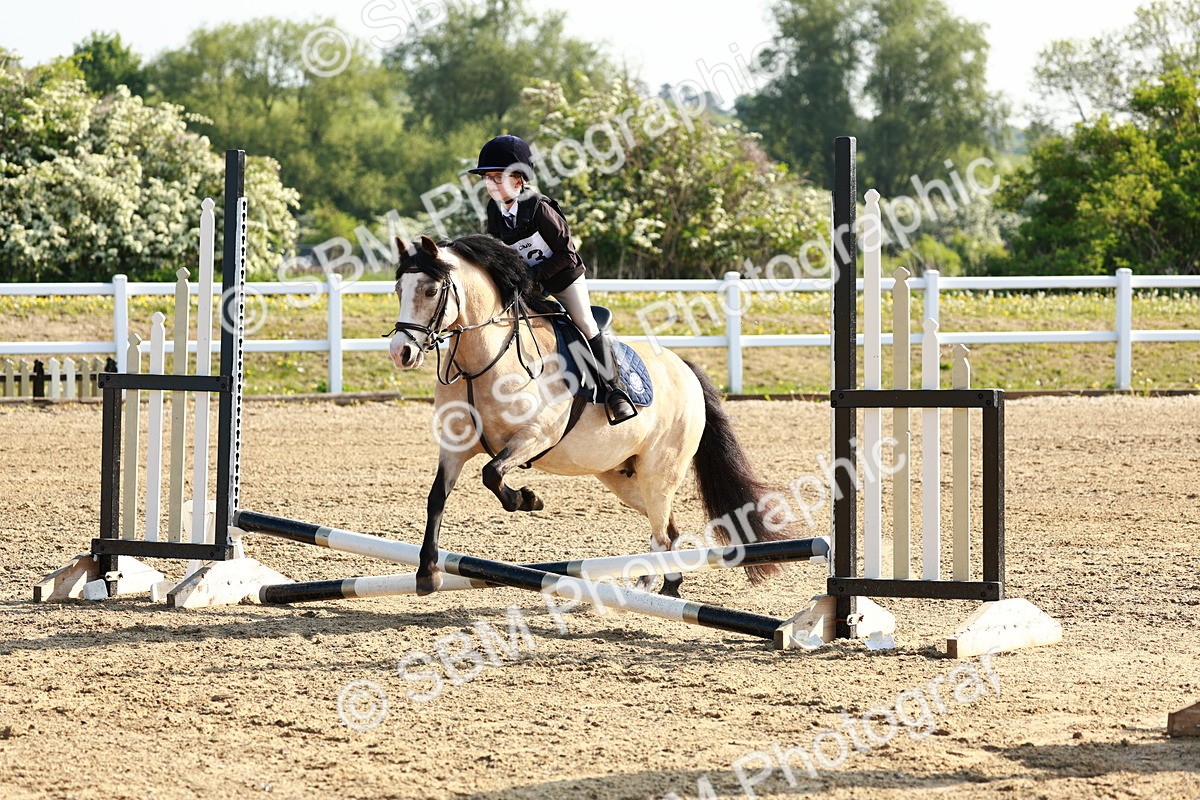 SBM_006231 - Class 1 - 40cm