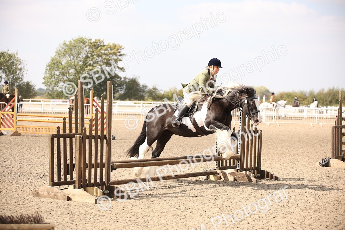 SBM_14340 - Class 407b - Working Veteran 60cm (20+)