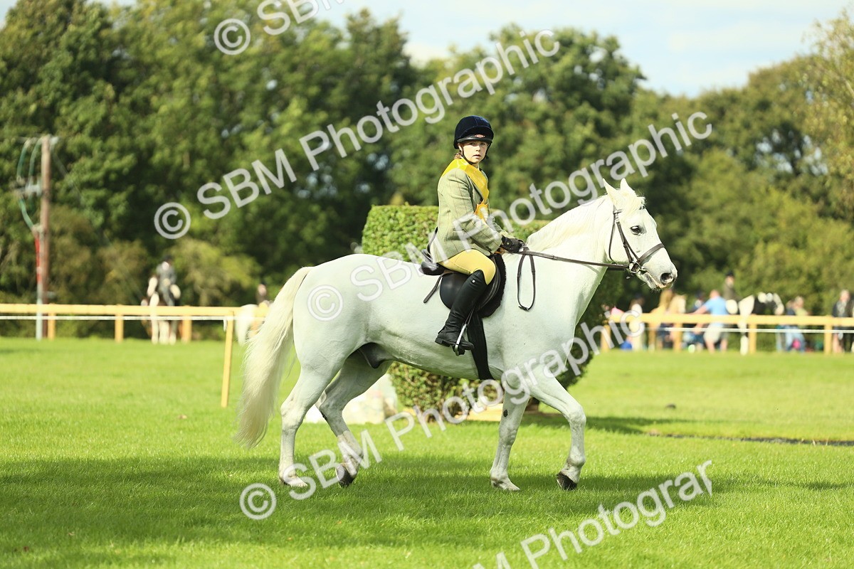 SBM_44886 - Working Hunter Pony Supreme Championship