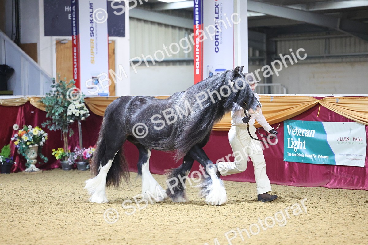 SBM_20968 - Class 902 - Supreme Final IH Veteran