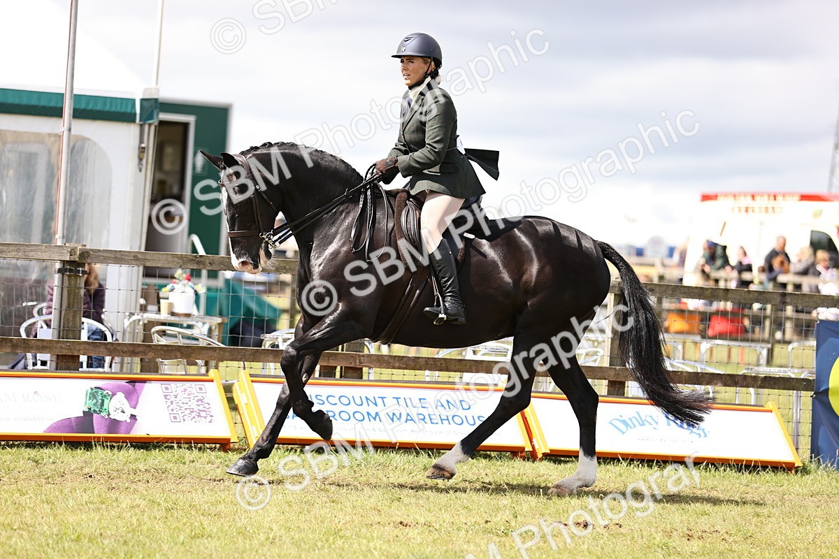SBM_14562 - Class 88-89 - LIHS BSHA Rising Star of Ridden Hunter Type