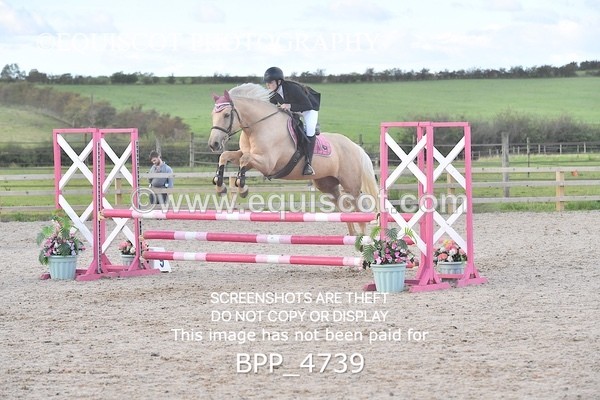 BPP_4739 - CLASS 12 HORSE 80CM FINAL