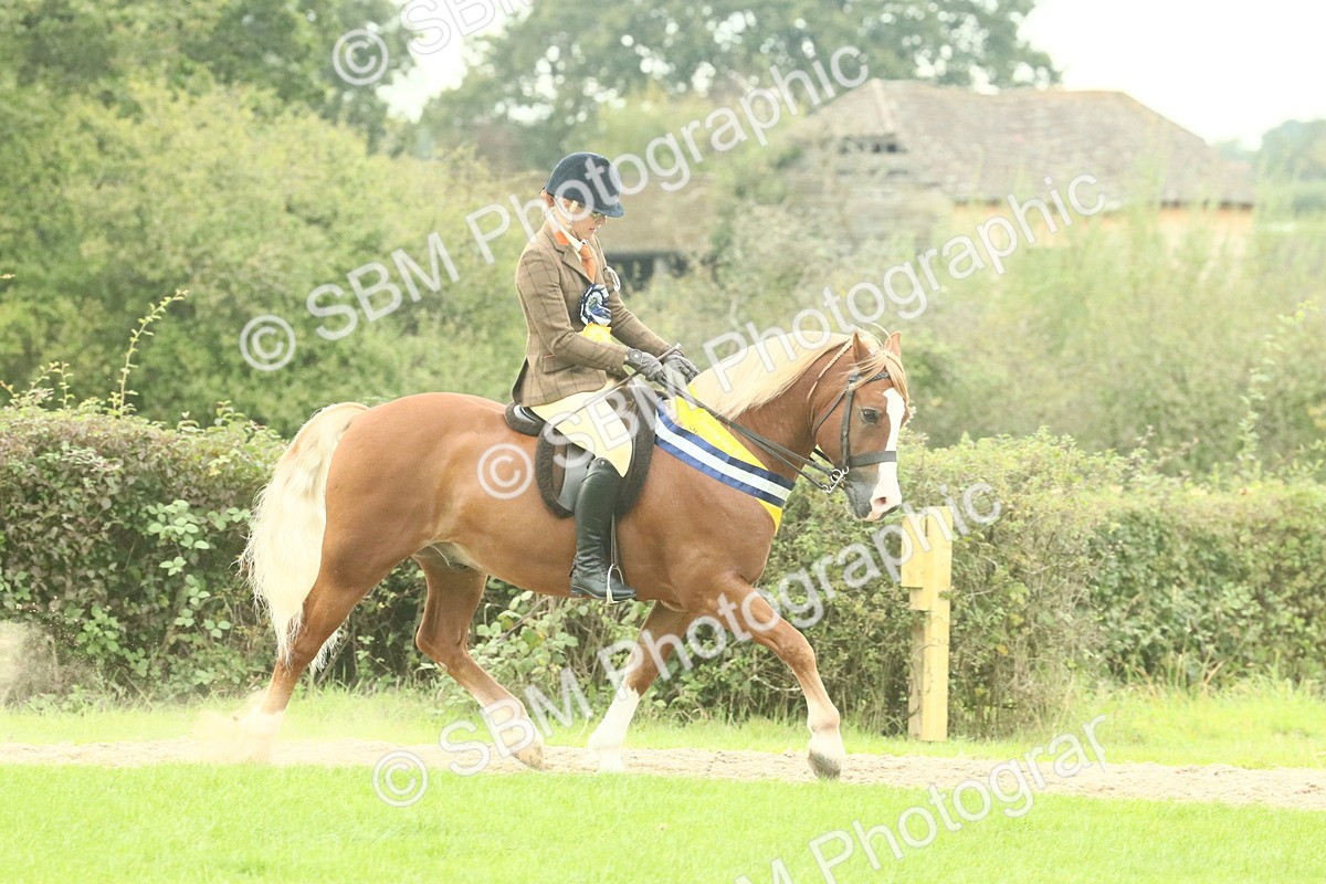 SBM_75154 - Super Supreme Championship